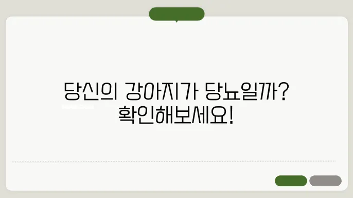 강아지당뇨