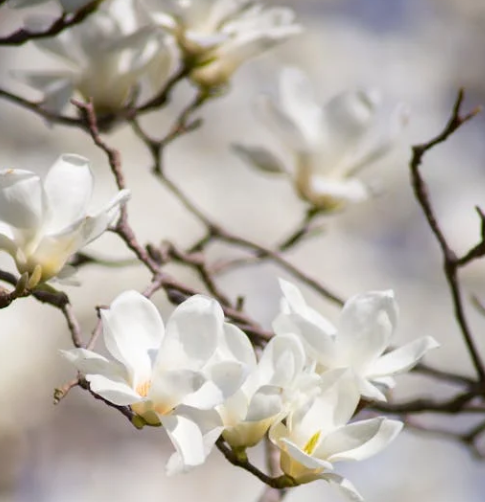 2025 대한민국 숙박세일 페스타 쿠폰 안내25