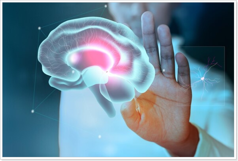 내머릿속 지우개 알츠하이머의 발병원인과 주요증상 치료법 연구