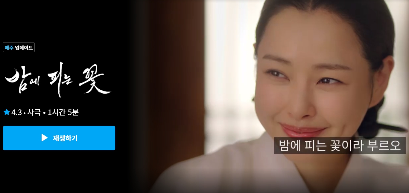 쿠팡 플레이
