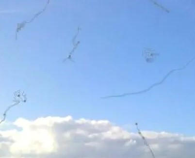 비문증 증상 2가지