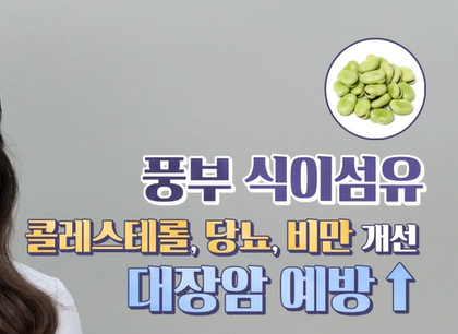 자이언트 파바빈