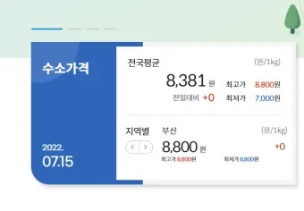 수소 가격 넥소 수소차 충전소 현대 전망 전기차 1kg 가스 자료집_14