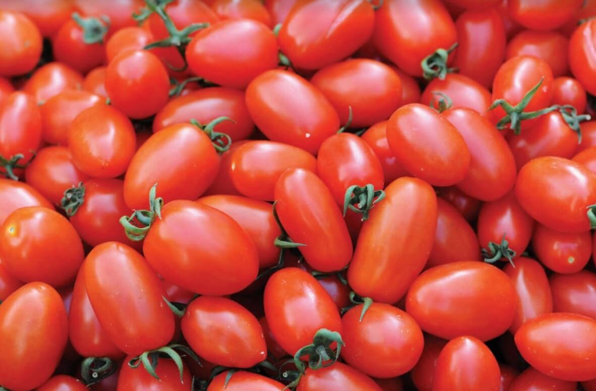 방울토마토입니다.