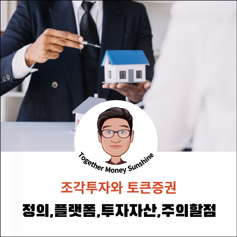 조각투자와 토큰증권