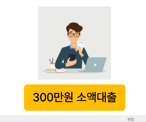 300만원 대출