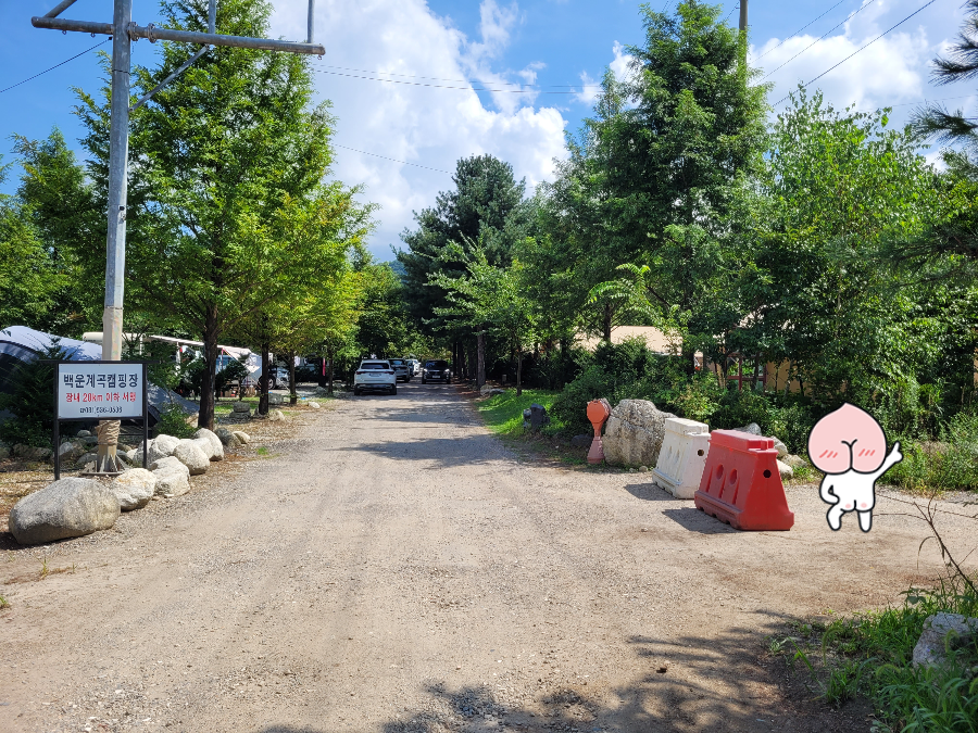 도마치계곡 가는법