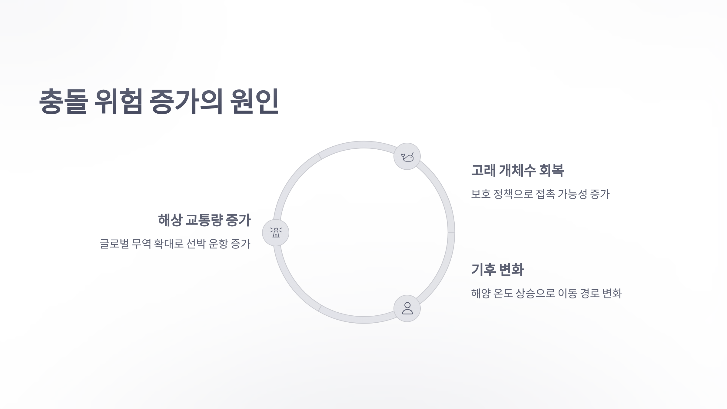 참조-충돌,-혹등고래가-숨지는-주요원인-3