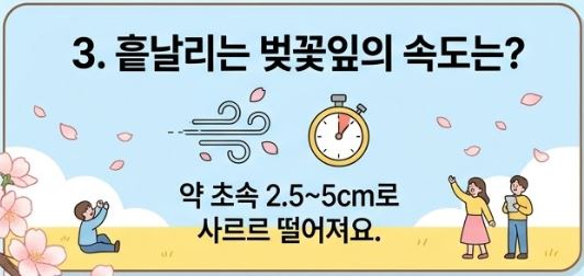 벚꽃상식