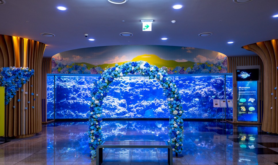 제주 동쪽 가볼만한곳 (아쿠아플라넷 제주)