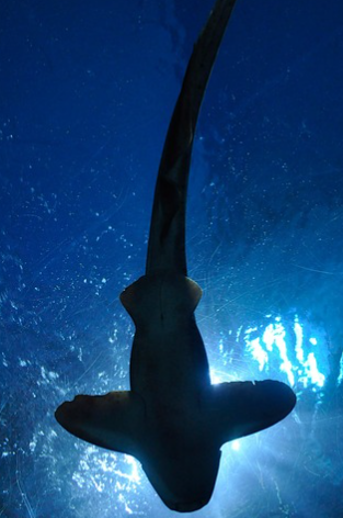 겨울철 타이어 적정 공기압