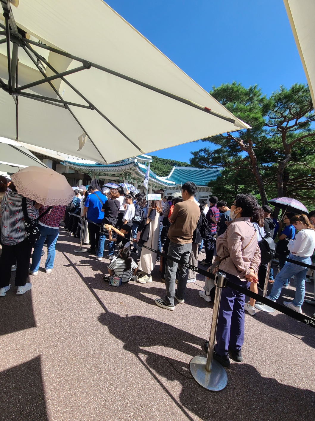 청와대 관람 하기