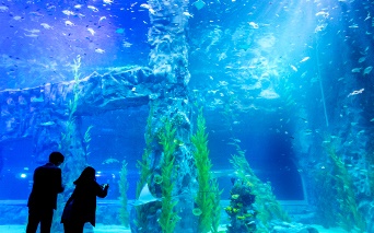 롯데월드아쿠아리움