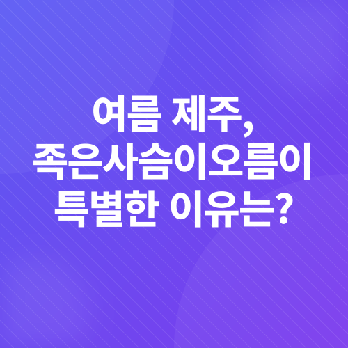 제주 숲길 트레킹_1