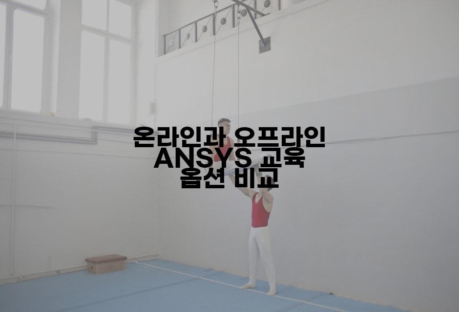 온라인과 오프라인 ANSYS 교육 옵션 비교