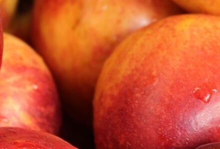 천도복숭아효능