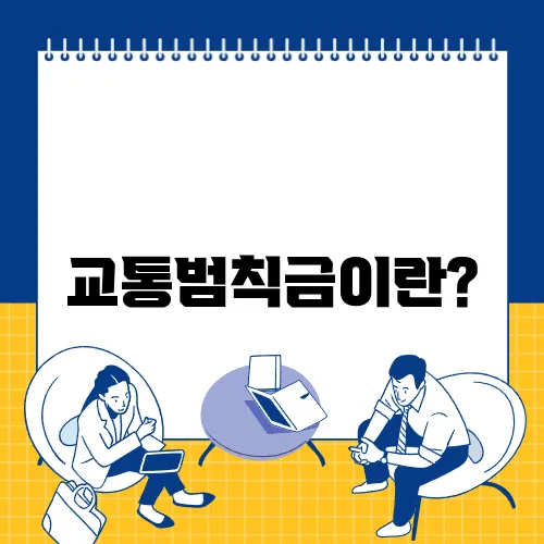 교통범칙금이란?