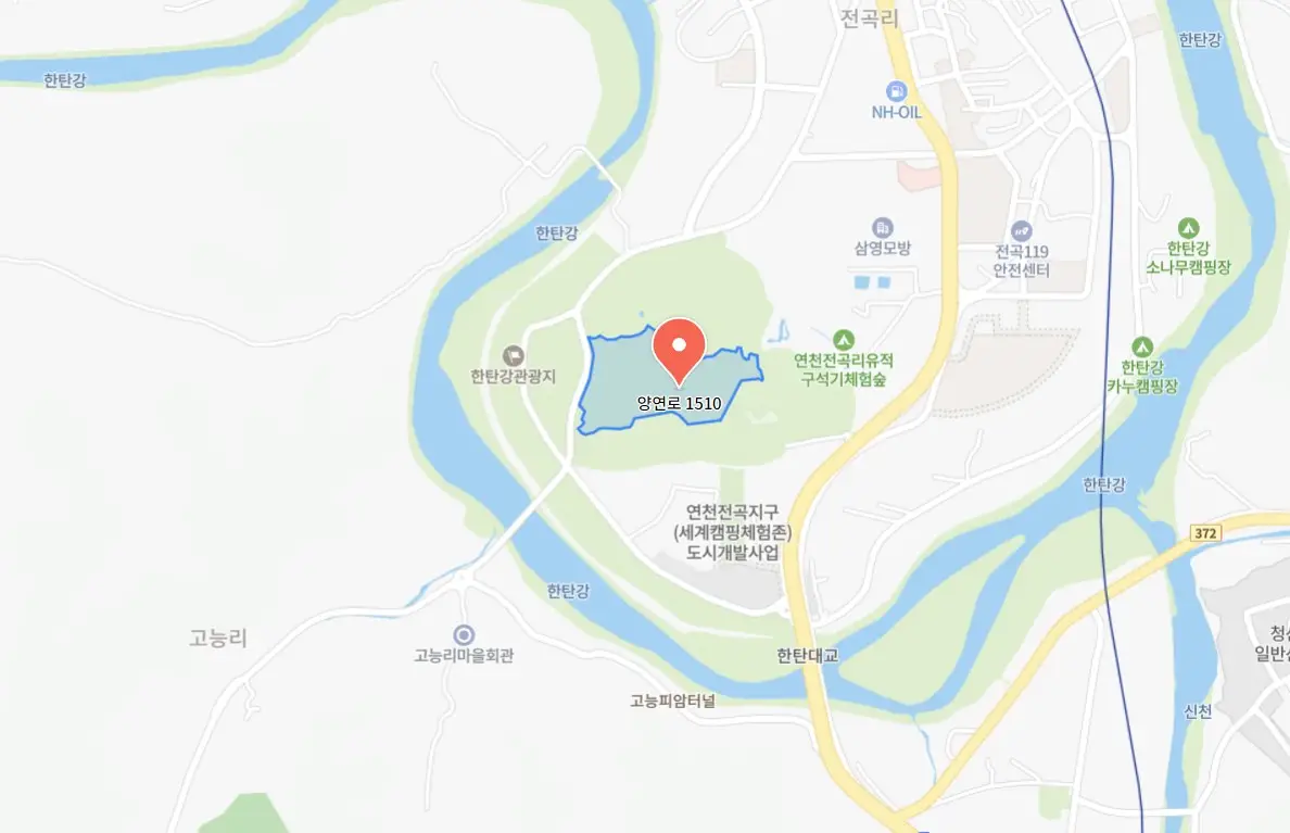 연천국화축제