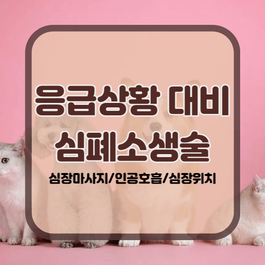 고양이 심폐소생술 심장마사지 인공호흡