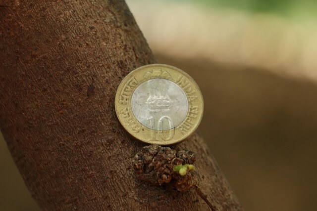 VOO 장기투자자 ETF