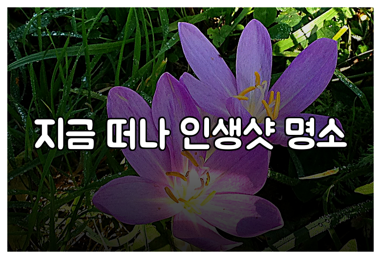 지금 떠나 인생샷 명소