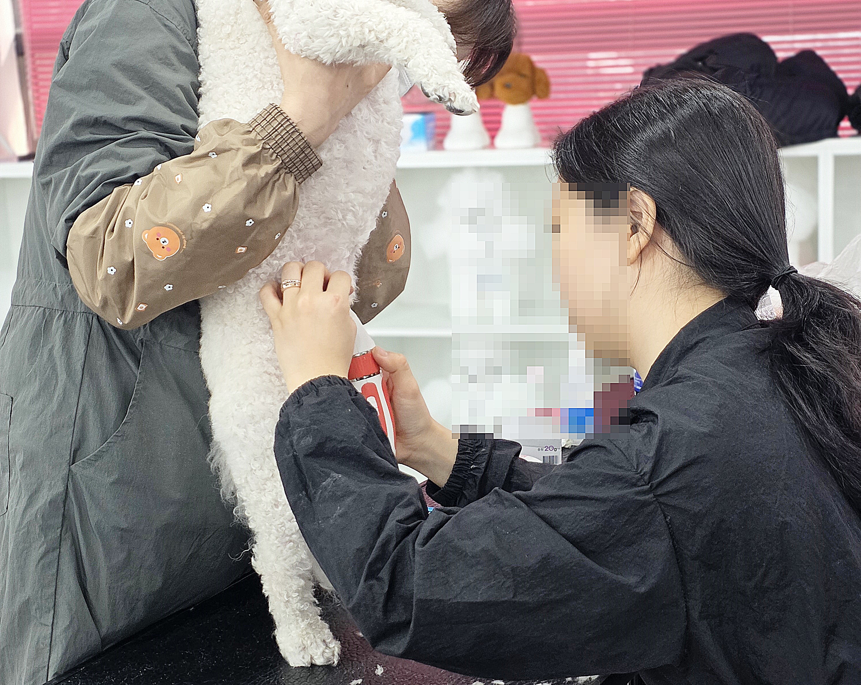 연제구애견미용학원