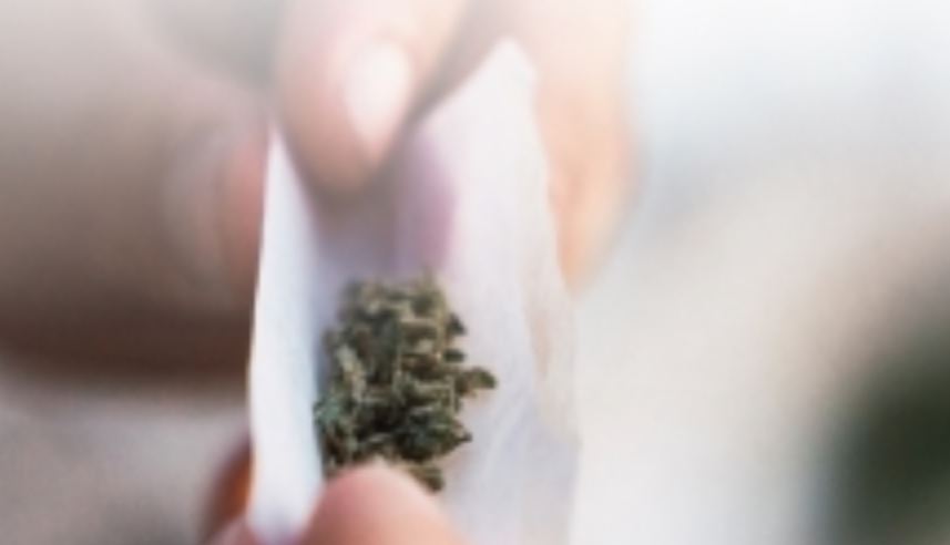 향정신성의약품