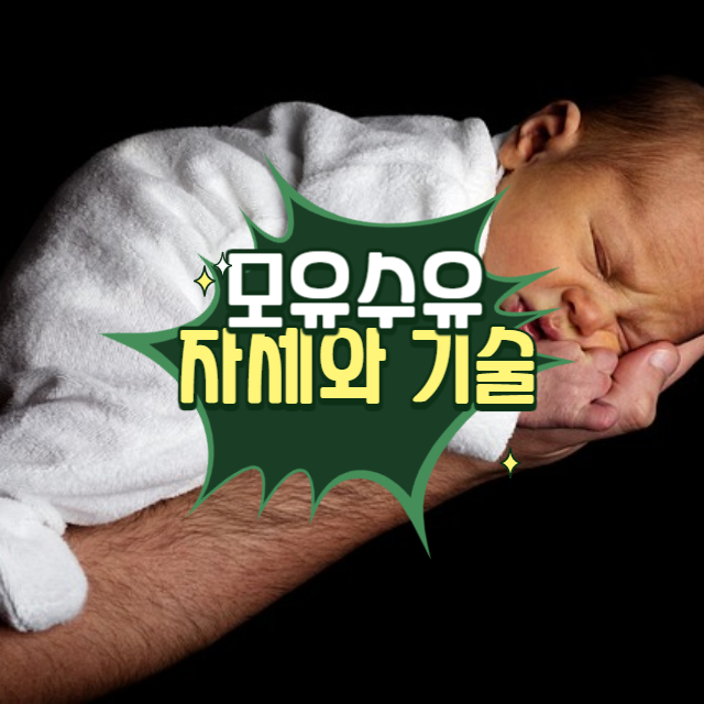 모유수유 자세와 기술