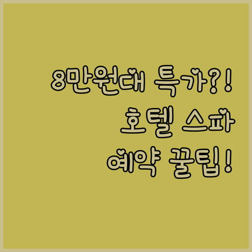 메이단 호텔 스파 최고급 시설을 8만..