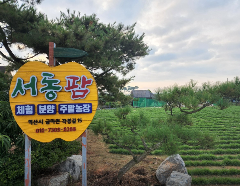 서동팜