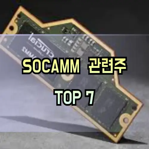 SOCAMM-관련주