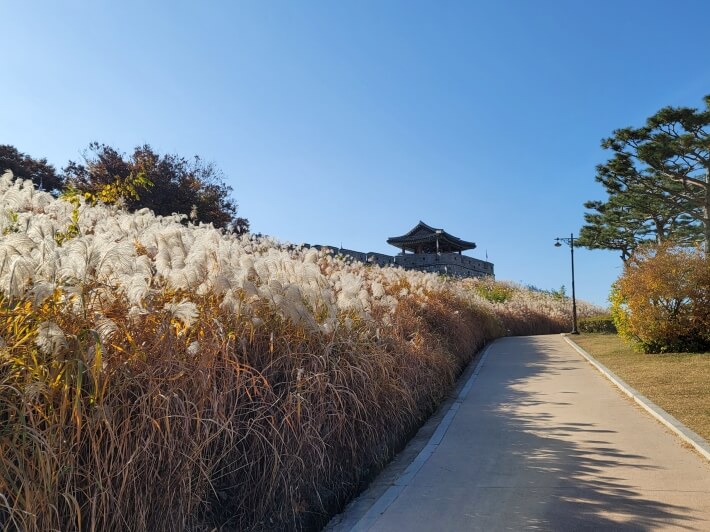 수원·용인 단풍 명소 BEST 5 : 광교호수공원·수원화성·용인민속촌·에버랜드·용인자연휴양림