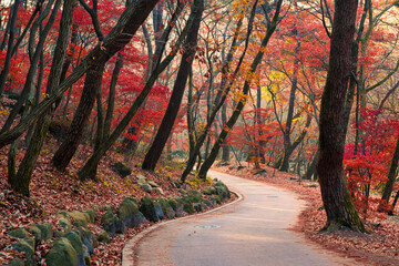 2023 단풍여행 시기 지역별 명소