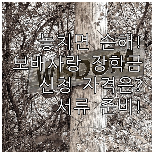 2025 진도군 보배사랑 장학금 신청..