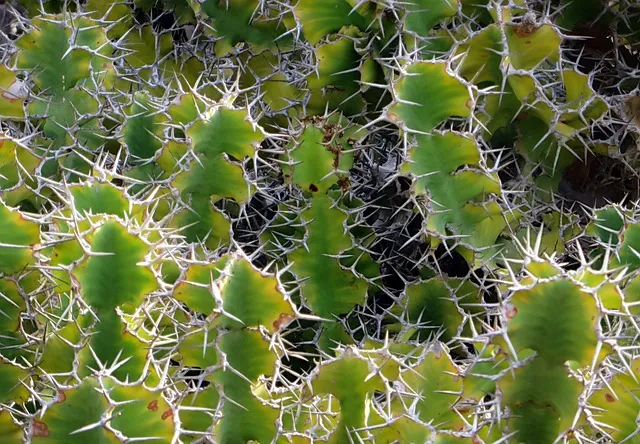 푹쉬면 다행이야 촬영지 무인도 섬 시청자 게스트 신청 방법_3