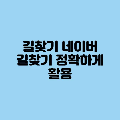 길찾기 네이버 길찾기 정확하게 활용