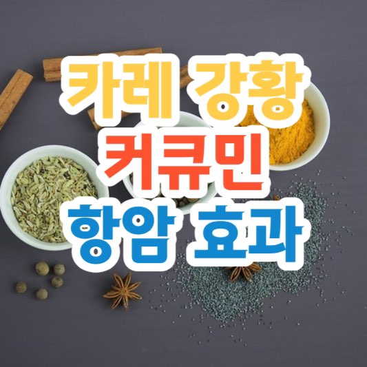 카레항암