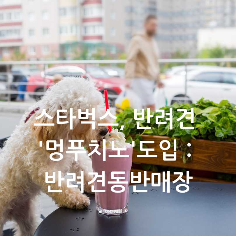 반려견 동반 스타벅스, 멍푸치노