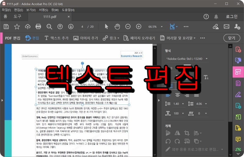 아크로뱃 프로 2021