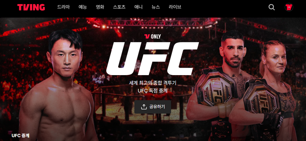 UFC 325