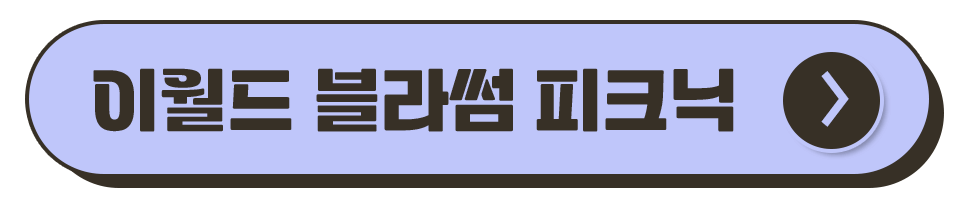 대구 축제 일정