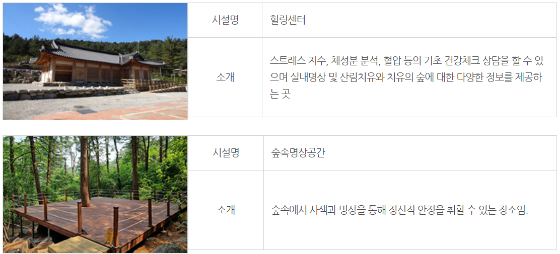 잣향기 푸른숲