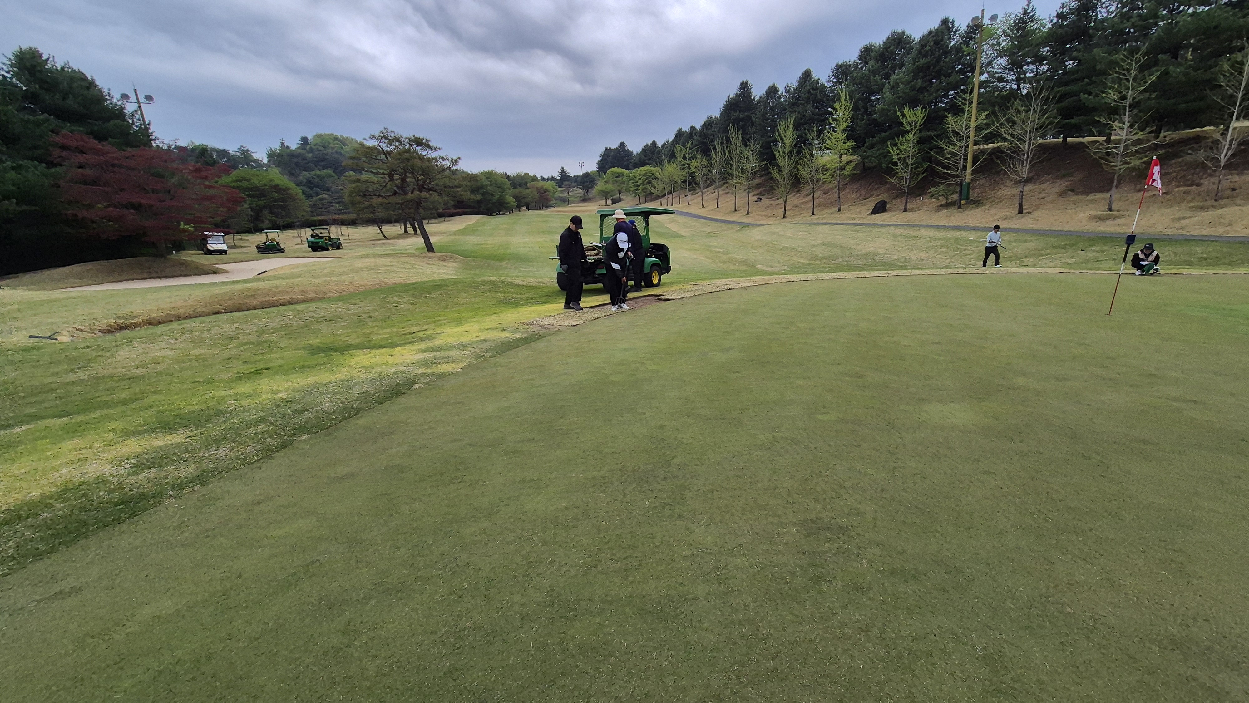 시그너스cc 코튼-라미 코스 그린 관리 상태