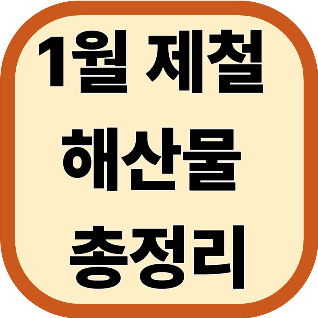 1월 제철 해산물 총정리