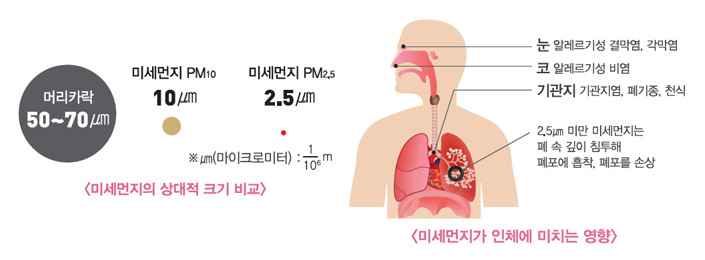 미세먼지 크기와 인체에 미치는 영향