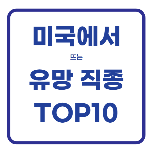 미국 유망 직업