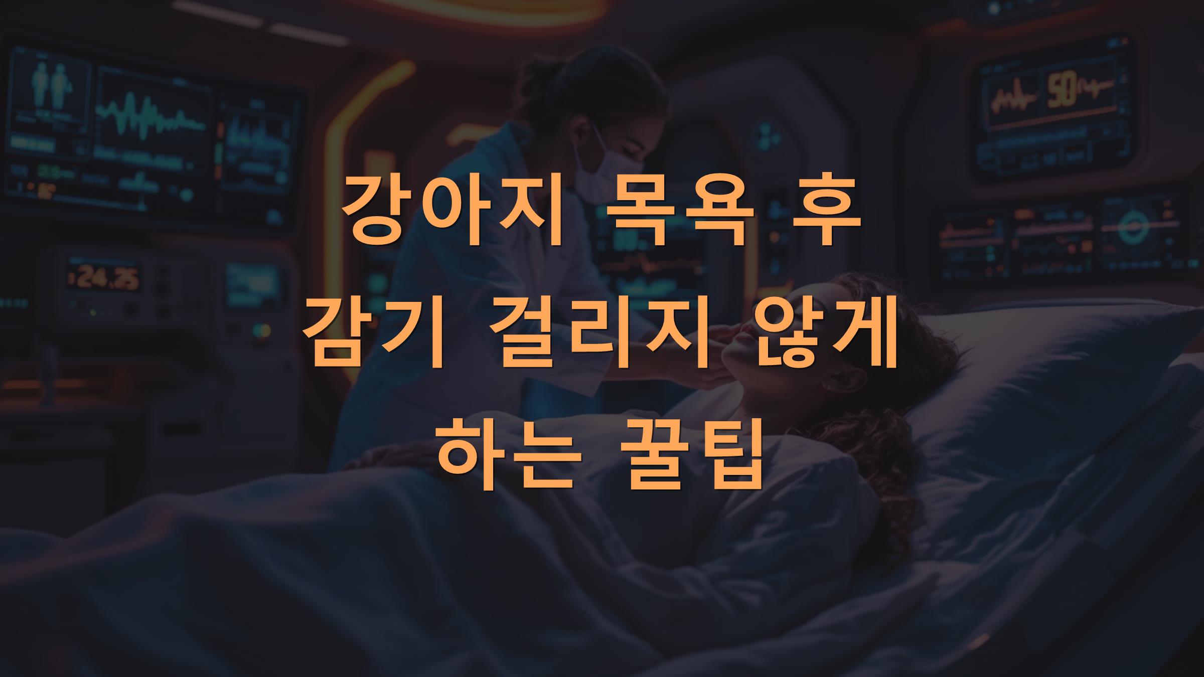 강아지 목욕 후 감기 걸리지 않게 하는 꿀팁