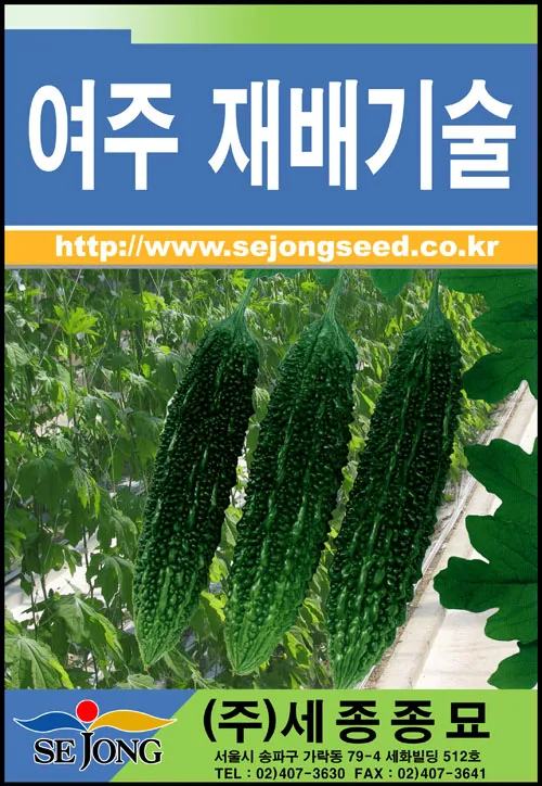 여주 재배 그늘 관리 수분 공급 여름 고온 대책_4