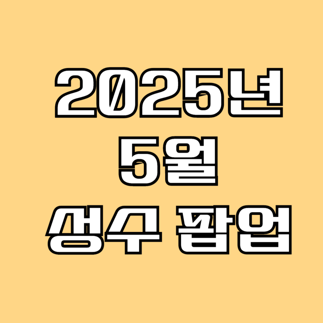 2025년 5월 성수 팝업