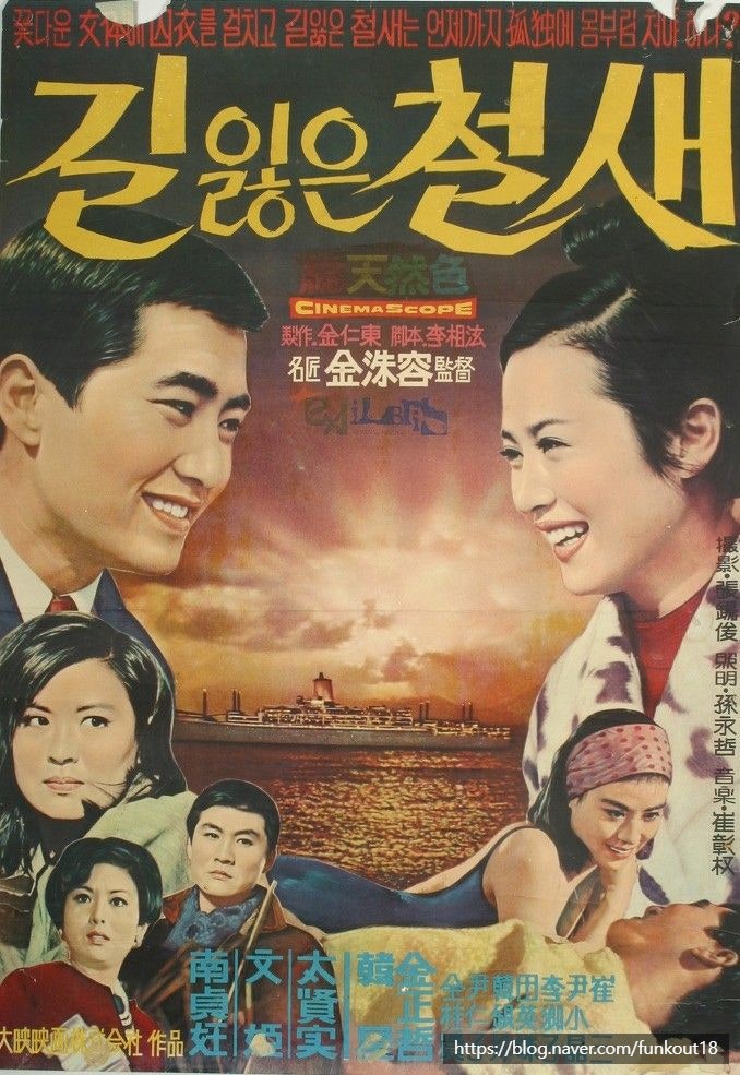 길잃은 철새 포스터